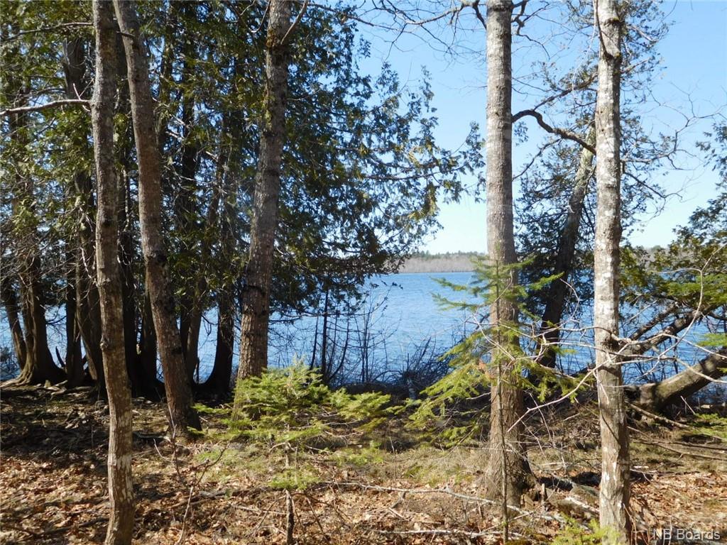 - Scenic Narrows Boulevard, Cambridge Narrows New Brunswick, Canada