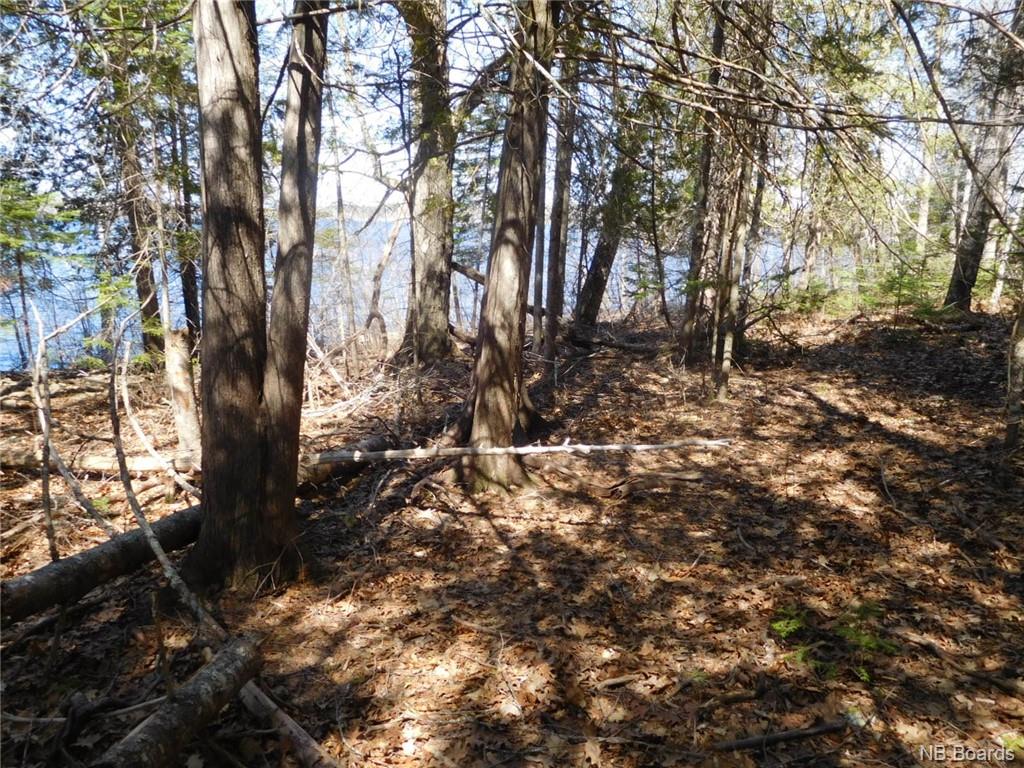 - Scenic Narrows Boulevard, Cambridge Narrows New Brunswick, Canada