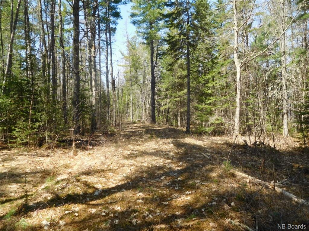 - Scenic Narrows Boulevard, Cambridge Narrows New Brunswick, Canada