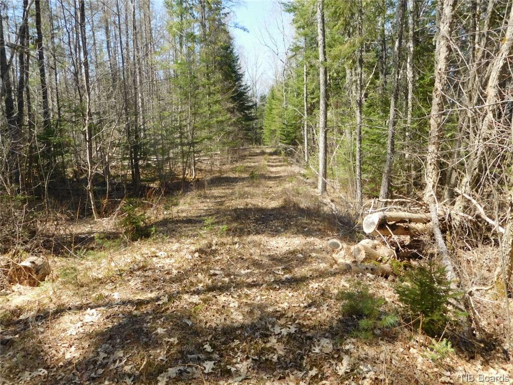 - Scenic Narrows Boulevard, Cambridge Narrows New Brunswick, Canada