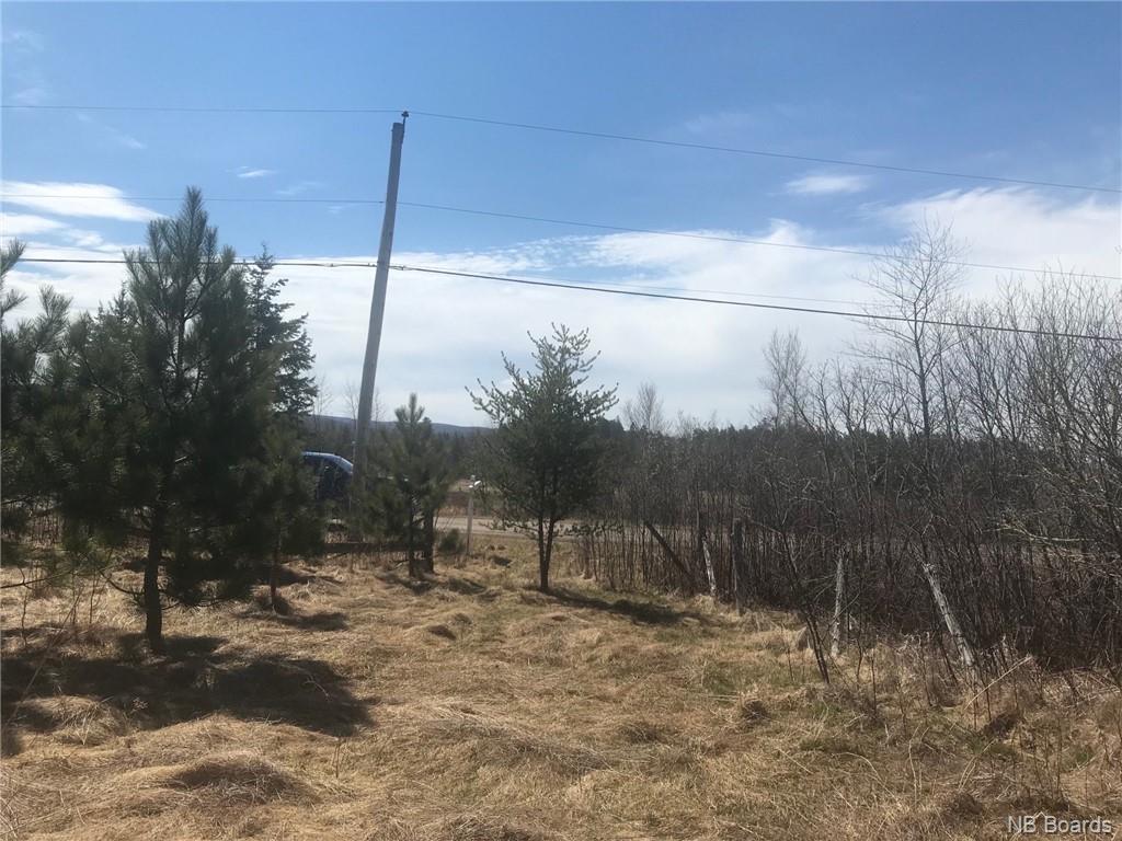 - Canada Packers Road, Penobsquis New Brunswick, Canada