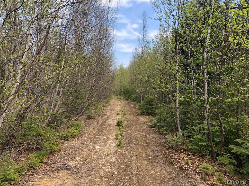 - Goshen Road, Goshen New Brunswick, Canada
