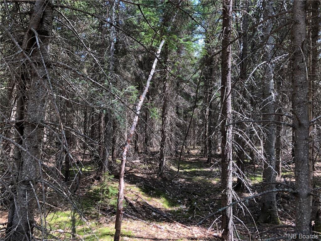 - Goshen Road, Goshen New Brunswick, Canada