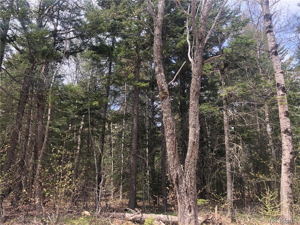 - Goshen Road, Goshen New Brunswick, Canada