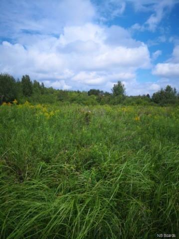 - Route 112, Hunters Home New Brunswick, Canada