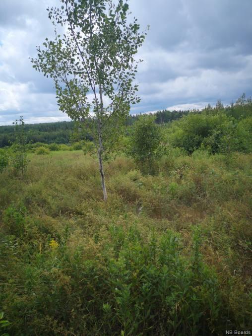 - Route 112, Hunters Home New Brunswick, Canada