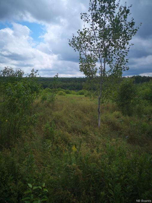 - Route 112, Hunters Home New Brunswick, Canada