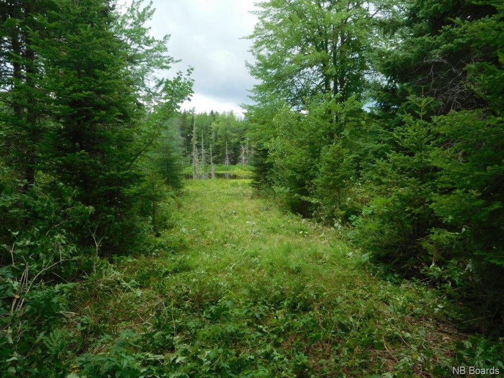 - Stevens Road, Cambridge Narrows New Brunswick, Canada