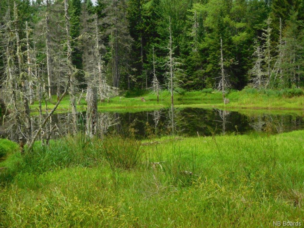 - Stevens Road, Cambridge Narrows New Brunswick, Canada