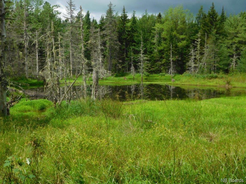 - Stevens Road, Cambridge Narrows New Brunswick, Canada