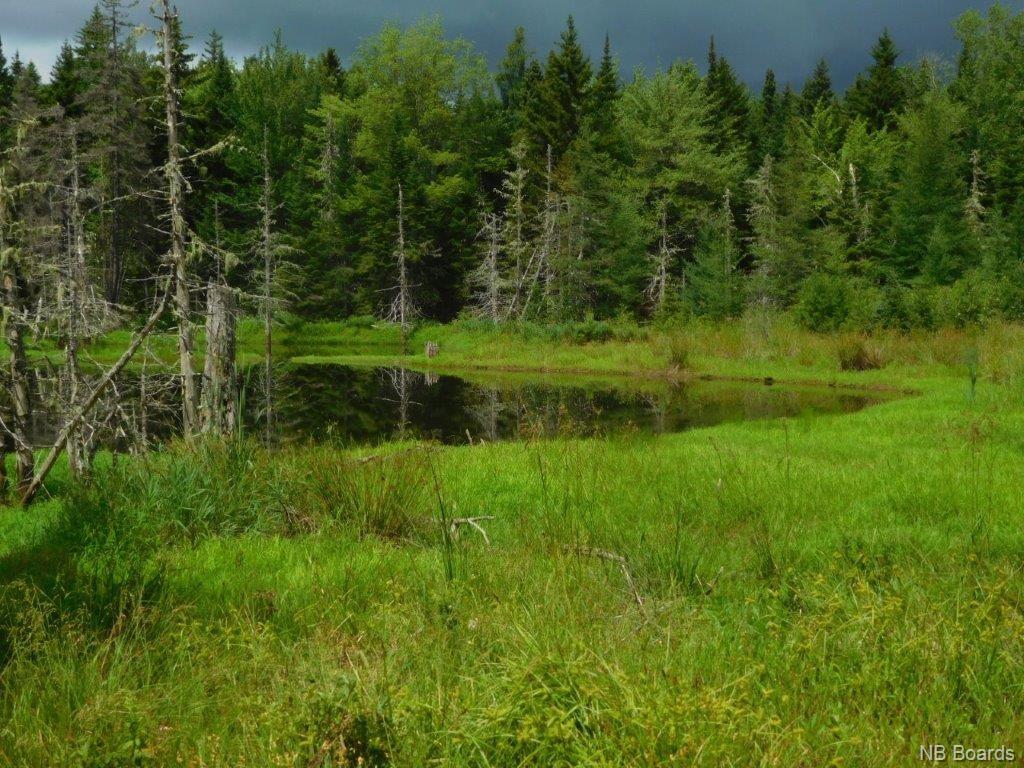 - Stevens Road, Cambridge Narrows New Brunswick, Canada