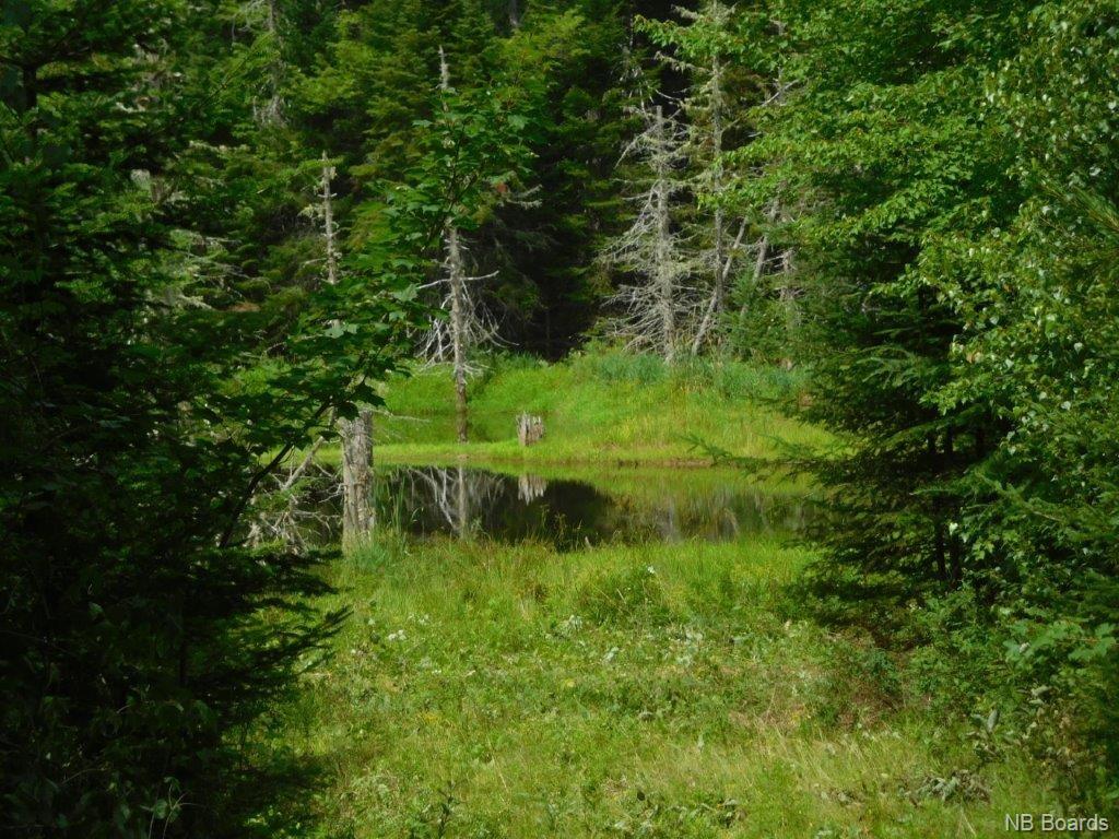 - Stevens Road, Cambridge Narrows New Brunswick, Canada