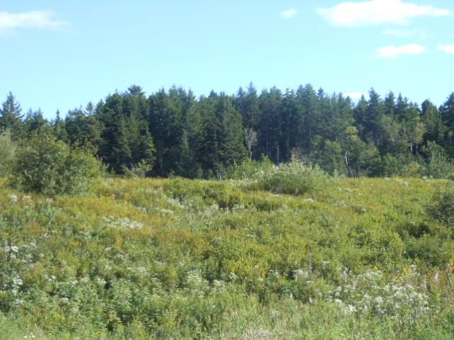 - Hickey Road, Saint John, New Brunswick, Canada
