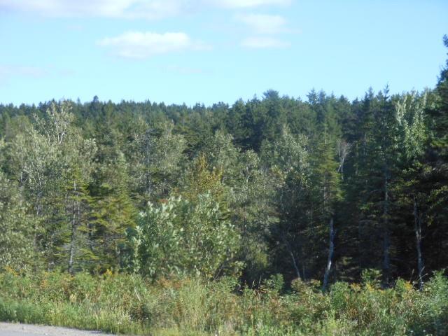 - Hickey Road, Saint John, New Brunswick, Canada