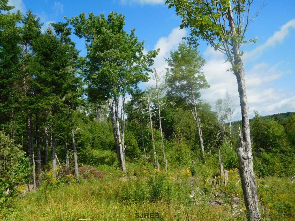 - Mount Prospect Road, Smithtown, New Brunswick, Canada