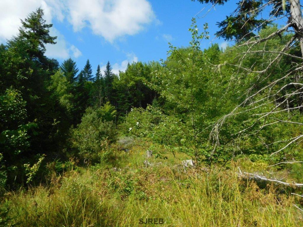- Mount Prospect Road, Smithtown, New Brunswick, Canada