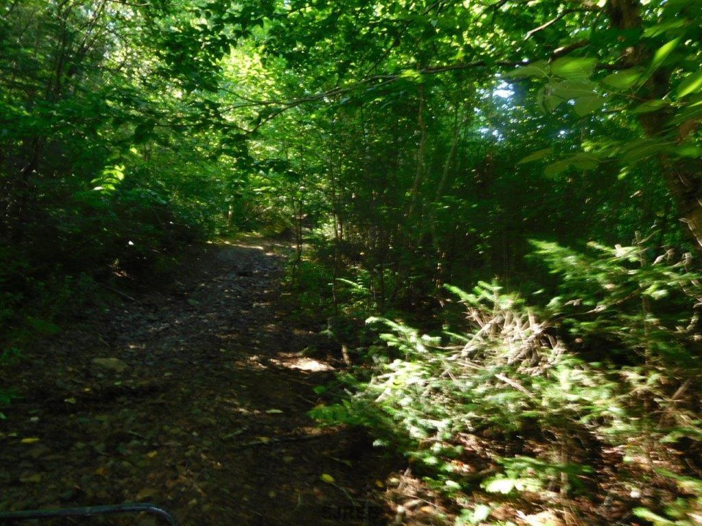 - Mount Prospect Road, Smithtown, New Brunswick, Canada