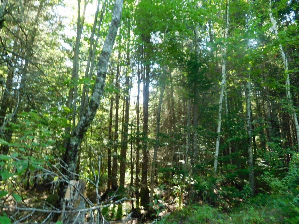 - Mount Prospect Road, Smithtown, New Brunswick, Canada