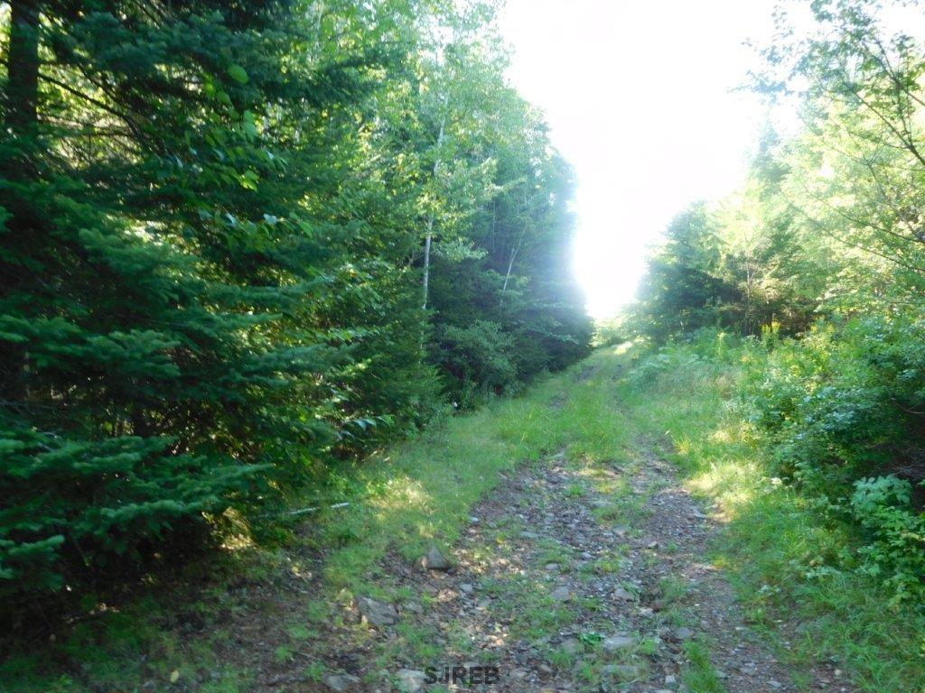 - Mount Prospect Road, Smithtown, New Brunswick, Canada