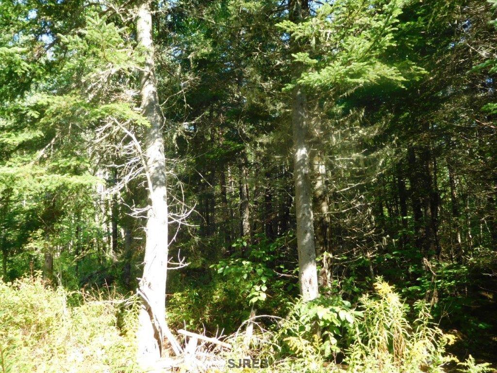 - Mount Prospect Road, Smithtown, New Brunswick, Canada