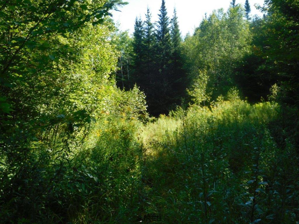 - Mount Prospect Road, Smithtown, New Brunswick, Canada