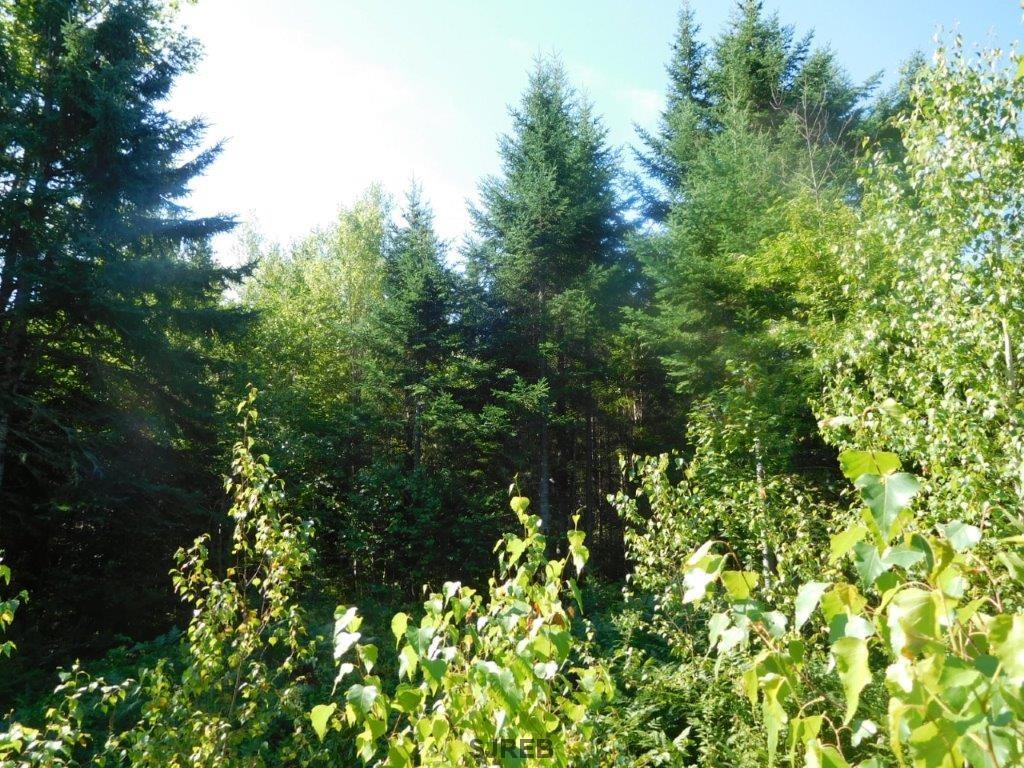 - Mount Prospect Road, Smithtown, New Brunswick, Canada