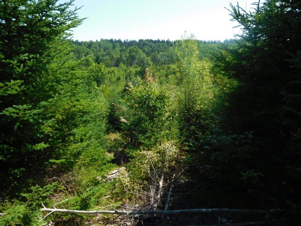 - Mount Prospect Road, Smithtown, New Brunswick, Canada