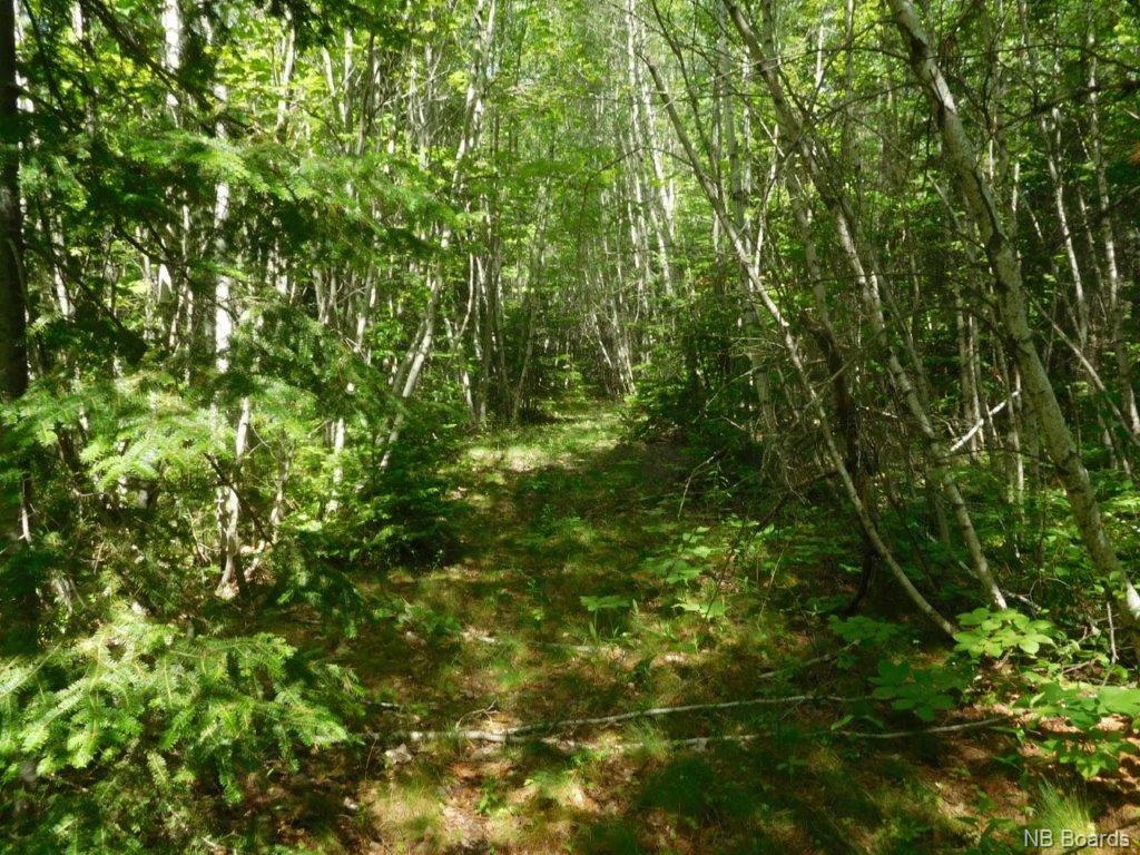 - Cumberland Point Road, Cumberland Bay, New Brunswick, Canada