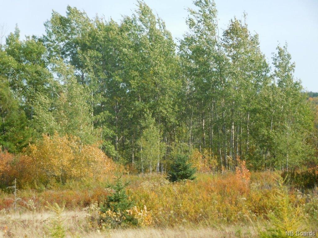 1786 Rte 121, Norton, New Brunswick, Canada