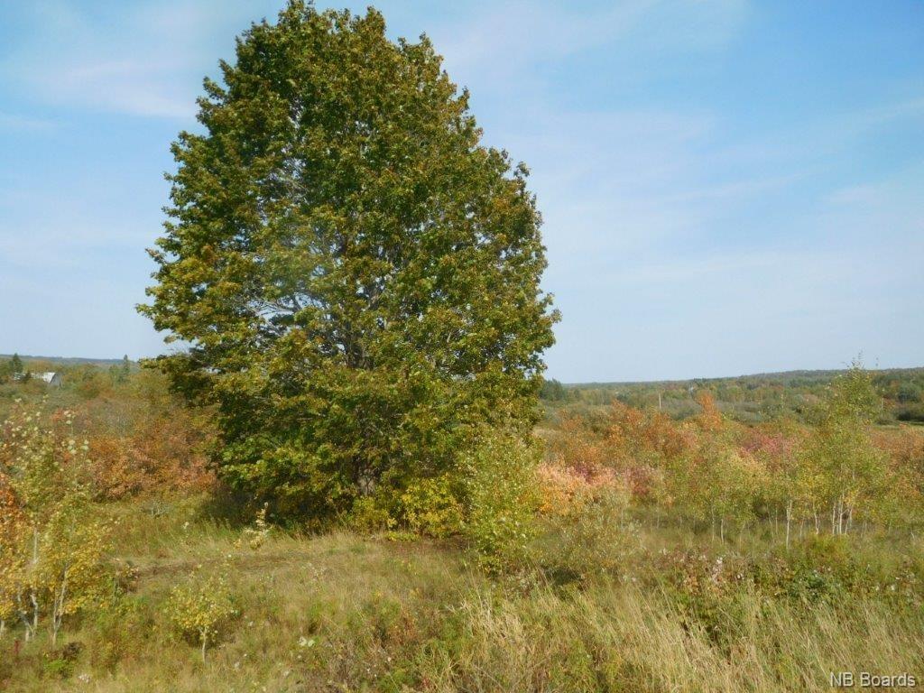 1786 Rte 121, Norton, New Brunswick, Canada
