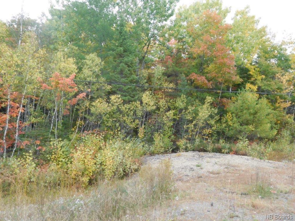 Lot A Route 10, Coles Island, New Brunswick, Canada