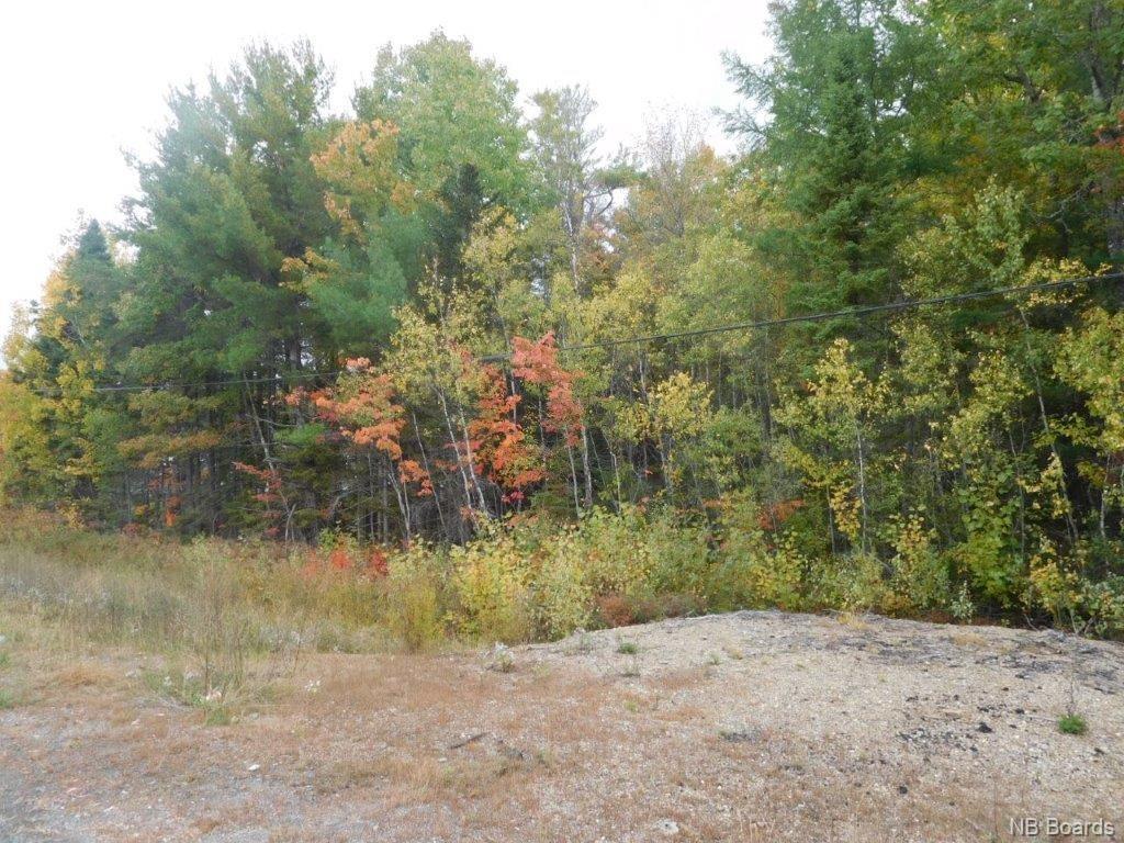 Lot A Route 10, Coles Island, New Brunswick, Canada