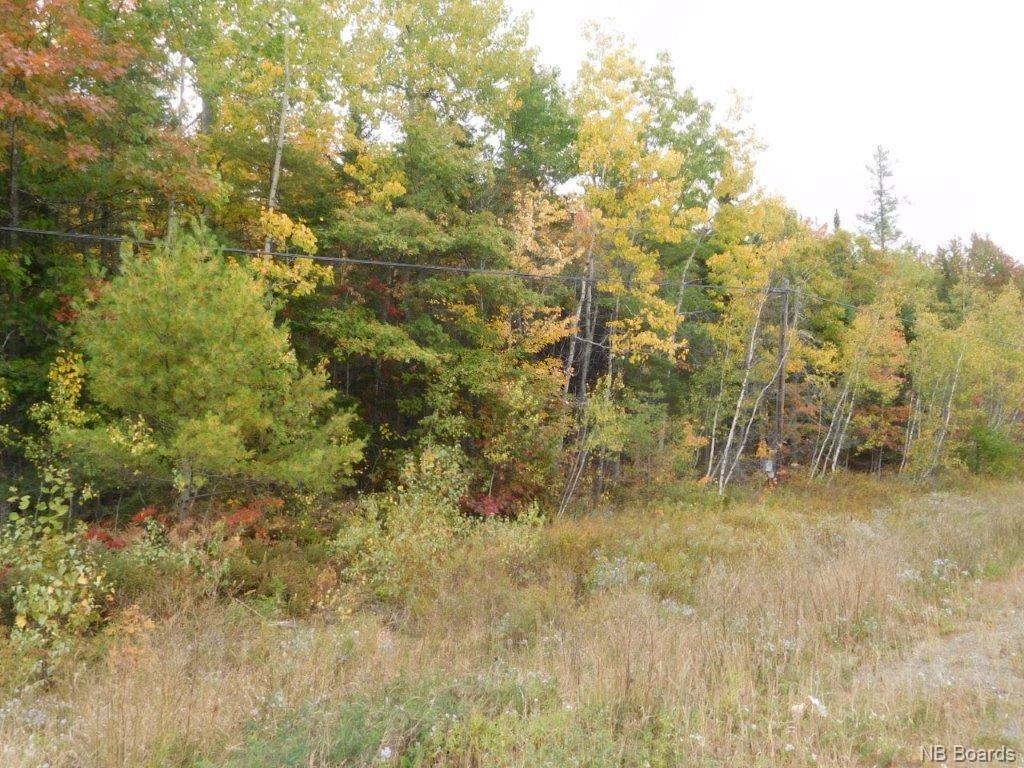 Lot A Route 10, Coles Island, New Brunswick, Canada