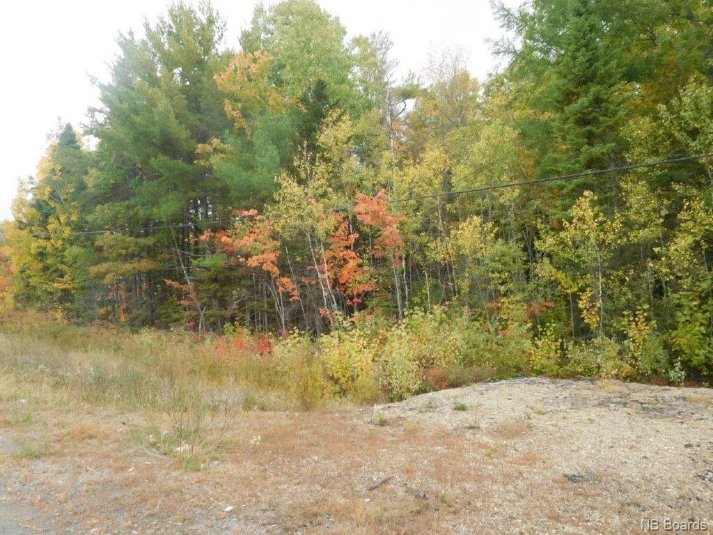 Lot A Route 10, Coles Island, New Brunswick, Canada