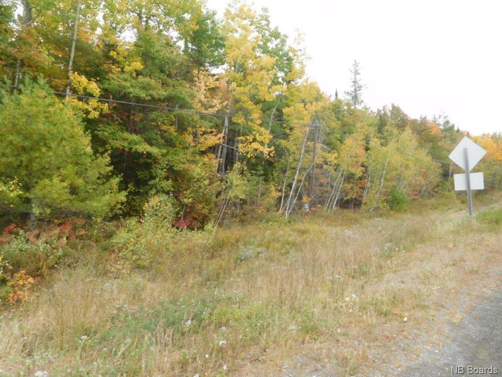 Lot A Route 10, Coles Island, New Brunswick, Canada