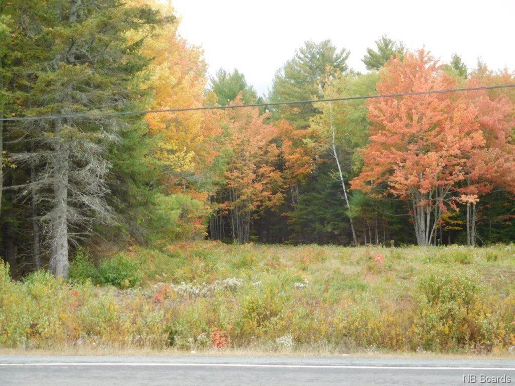 Lot B Route 10, Coles Island, New Brunswick, Canada