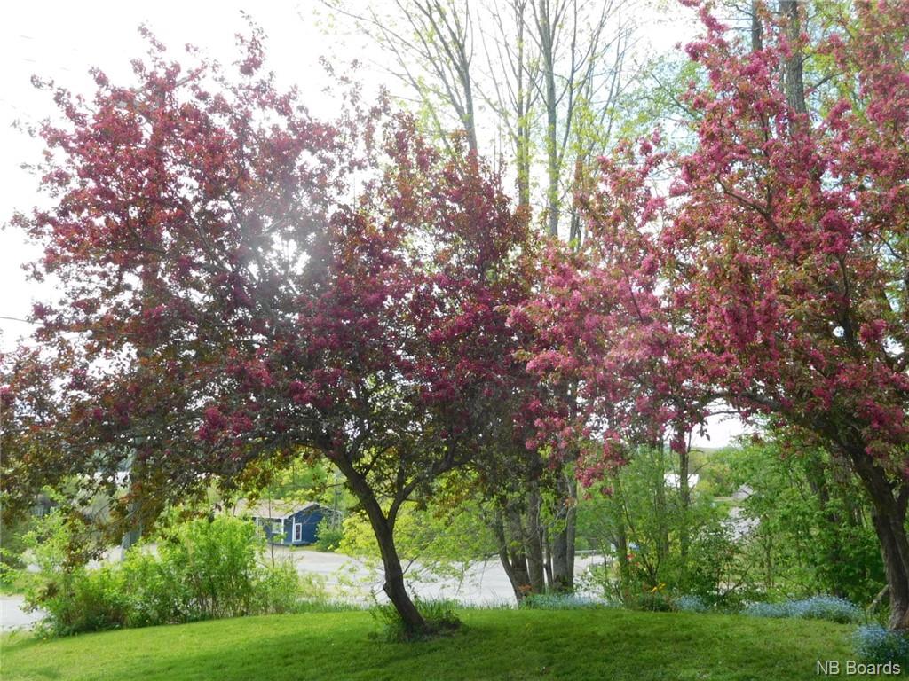 2238 Lakeview Road, Cambridge Narrows, New Brunswick, Canada
