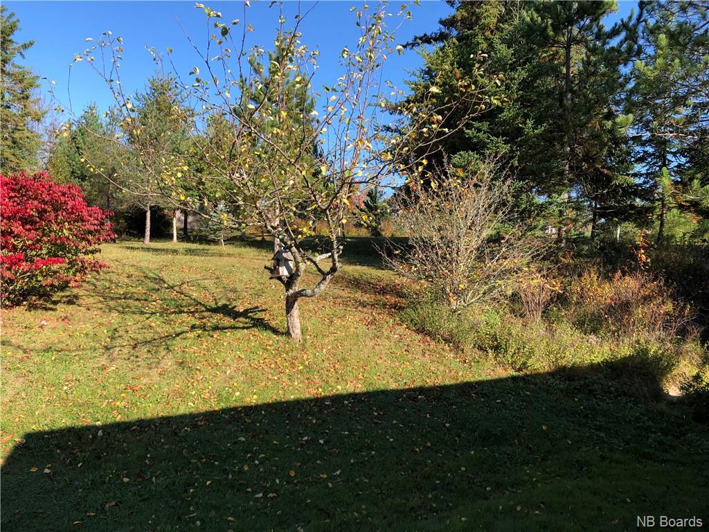 170 Quirk Road, Wards Creek, New Brunswick, Canada