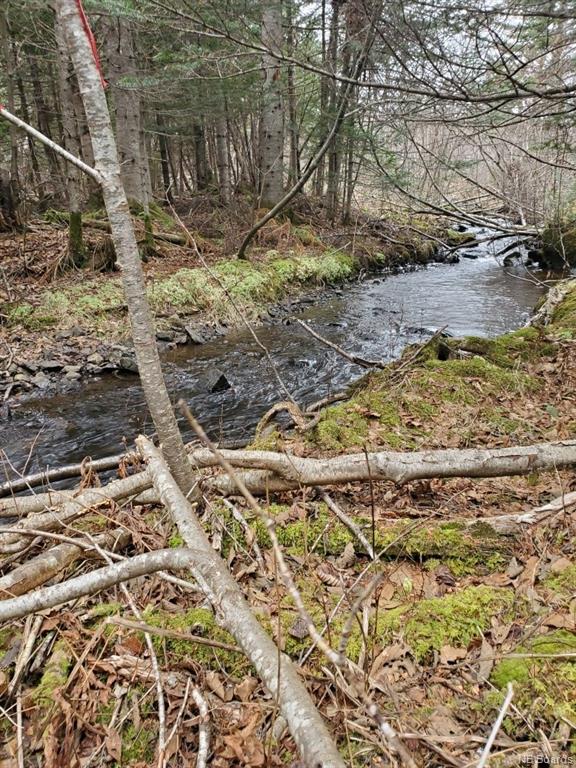 Lot 19-3 Route 845, Clifton Royal, New Brunswick, Canada