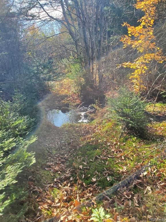 Lot 19-3 Route 845, Clifton Royal, New Brunswick, Canada