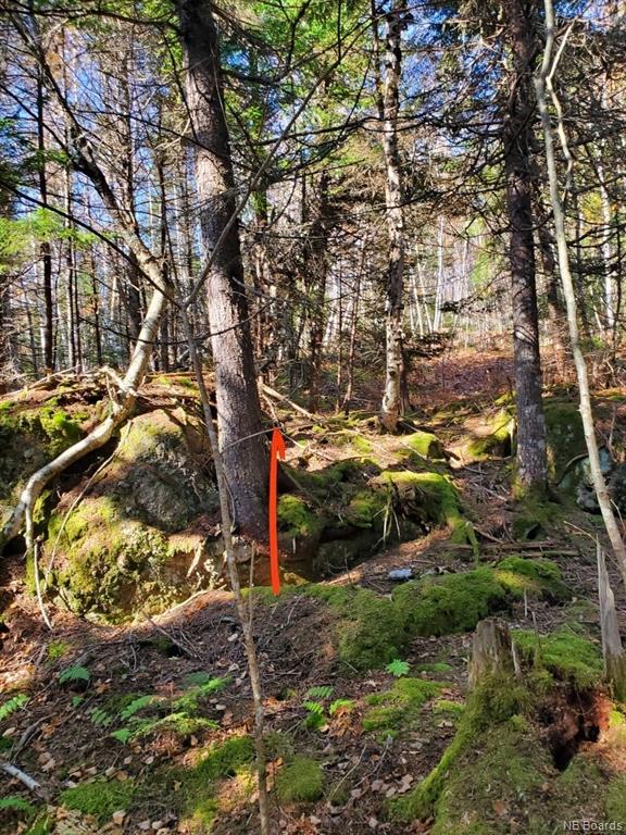 Lot 19-3 Route 845, Clifton Royal, New Brunswick, Canada