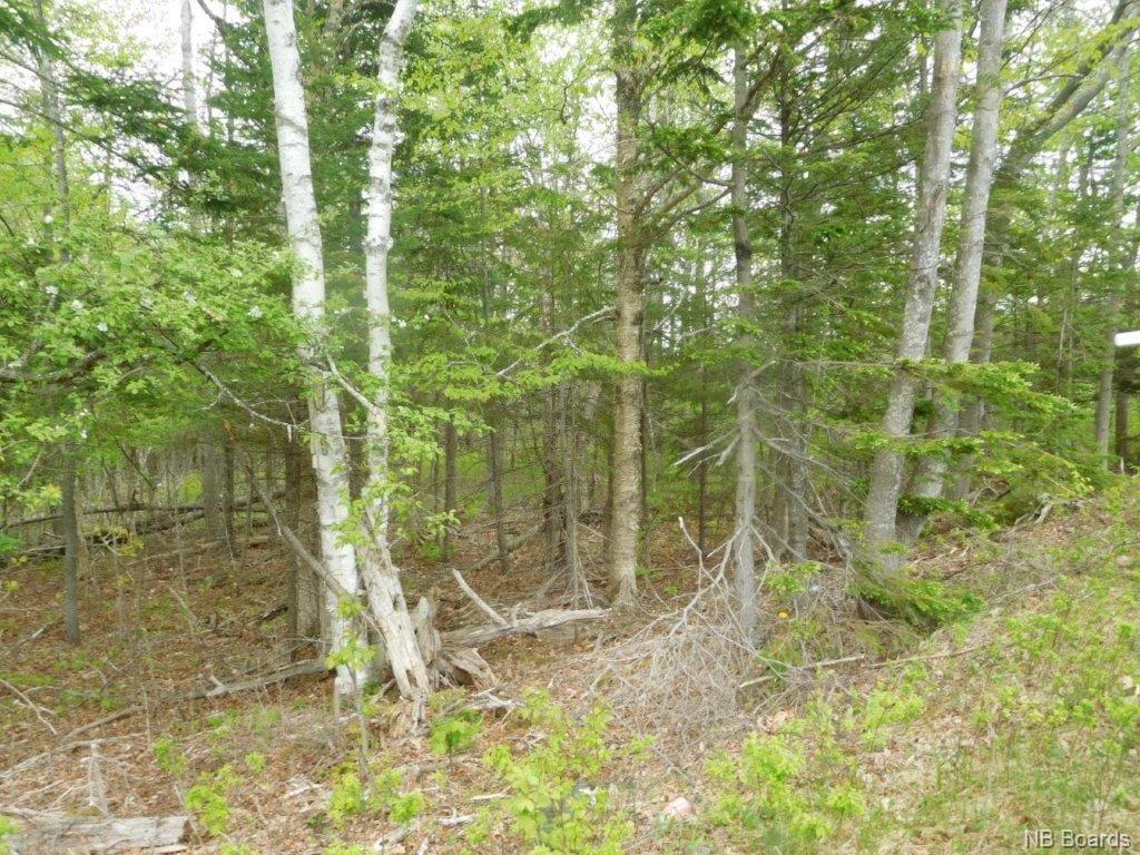 - Route 102, Browns Flat, New Brunswick, Canada