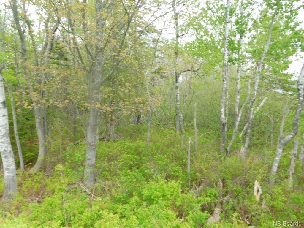 - Route 102, Browns Flat, New Brunswick, Canada