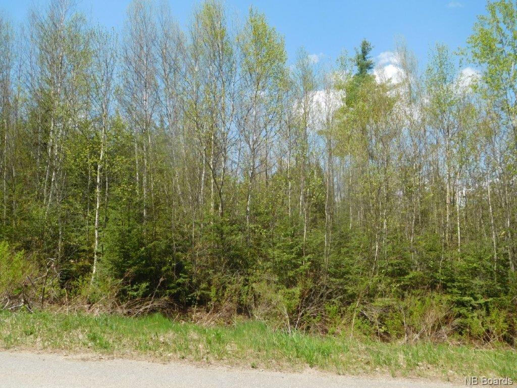 Lot 21-01 Thompson Road, Kierstead Mountain, New Brunswick, Canada