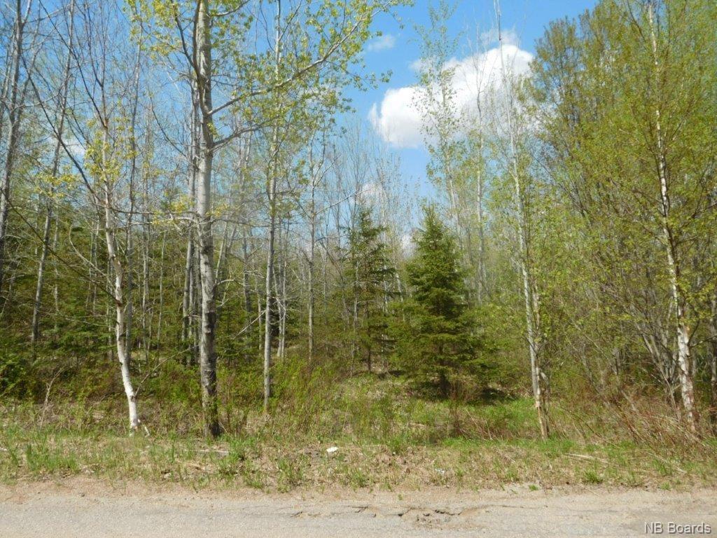 Lot 21-02 Thompson Road, Kierstead Mountain, New Brunswick, Canada