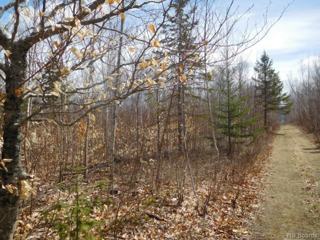 - Green Road, Elgin, New Brunswick, Canada