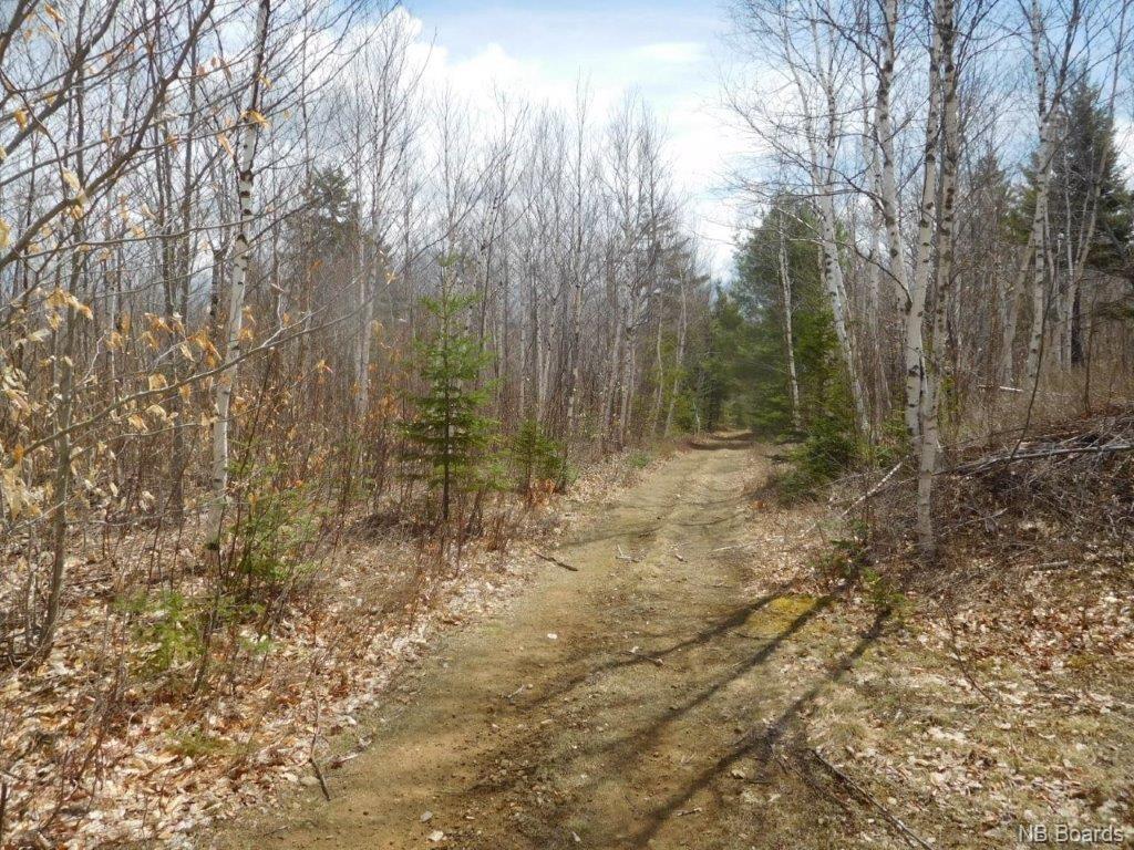 - Green Road, Elgin, New Brunswick, Canada