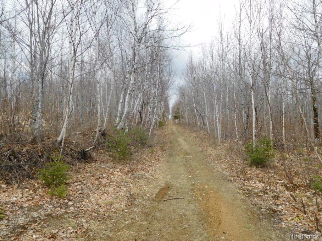 - Green Road, Elgin, New Brunswick, Canada