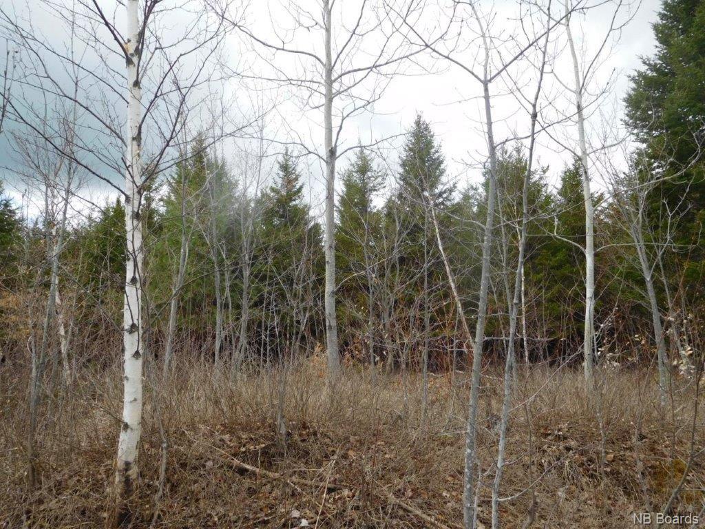 - Green Road, Elgin, New Brunswick, Canada