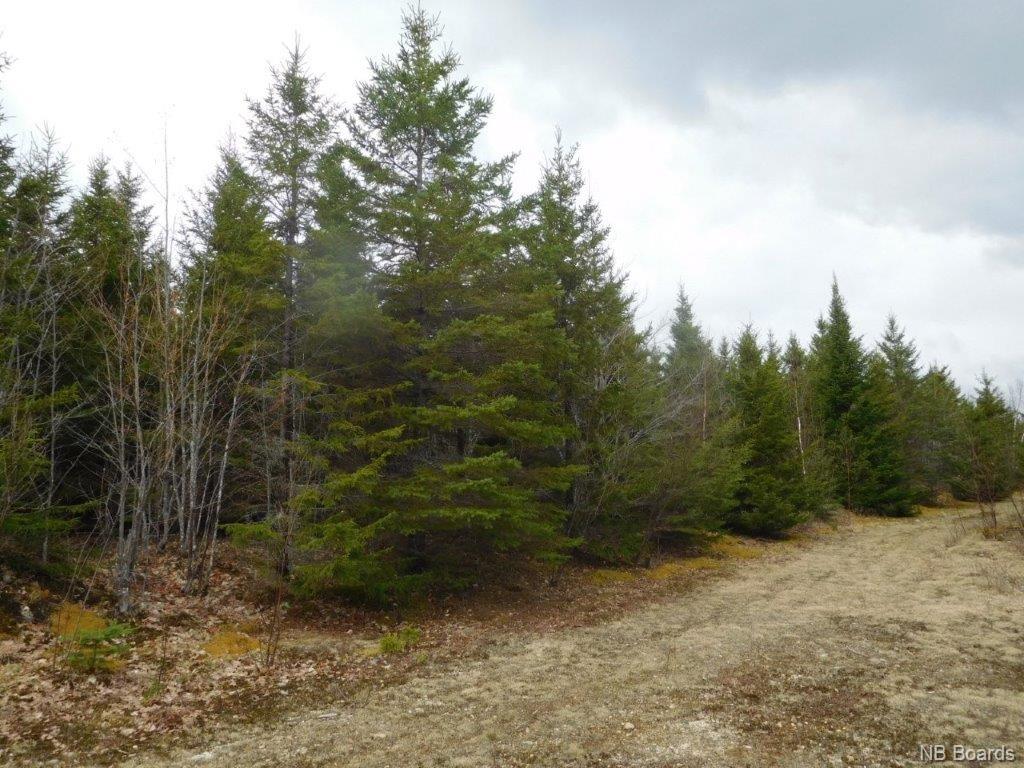 - Green Road, Elgin, New Brunswick, Canada
